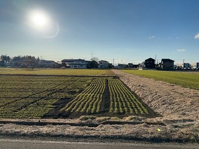 宇都宮市屋板町 農業用農地